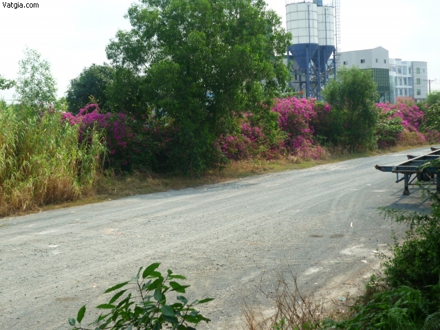 Cho thuê bãi đất trống 2000m đường Đào Trí, Quận 7 gần cầu Phú Mỹ.