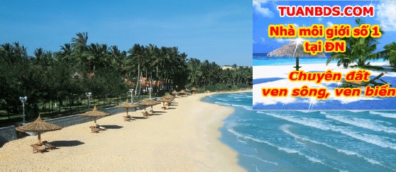 Căn hộ chung cư mặt tiền biển Mường Thanh Đà Nẵng,vị trí đẹp nhất,giá tốt nhất thị trường 