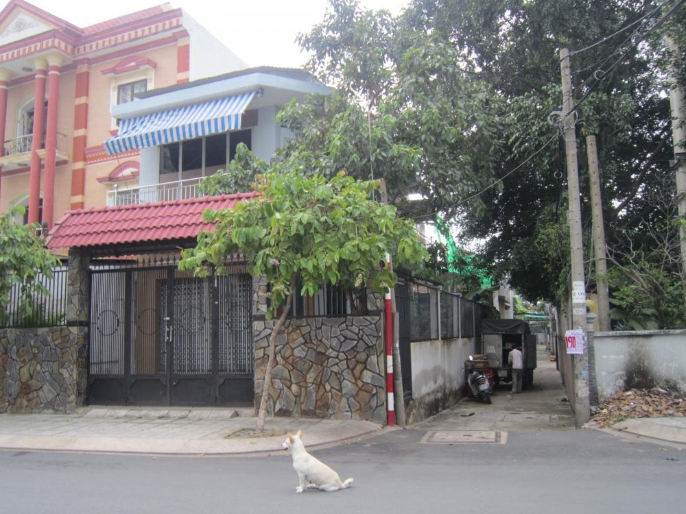 Nhà cho thuê mặt tiền Nguyễn Văn Dung, P. 6, Gò Vấp DT 8x16m