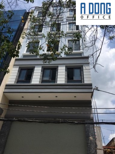 Cho thuê văn phòng tại đường Ba Vì, Tân Bình, Tp. HCM diện tích 260m2, giá 348.81 nghìn/m²/th