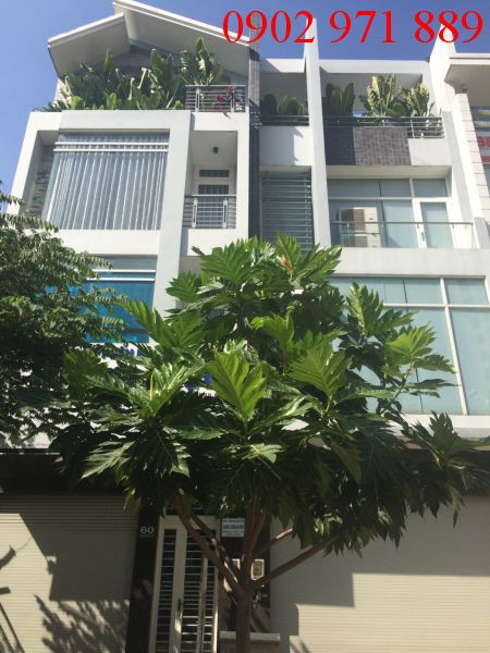 Nhà cho thuê đường Mai Chí Thọ, An Phú, 40 triệu/tháng, trệt 2 lầu, 5 phòng ngủ
