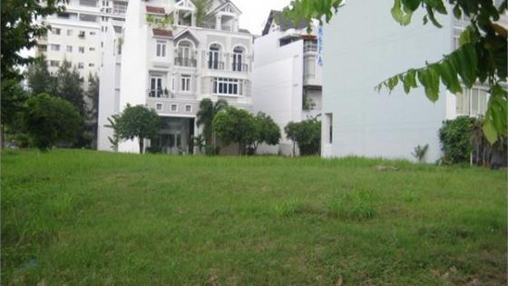 Cho thuê 2 lô đất Hưng Gia Hưng Phước PMH, Q. 7, vị trí đẹp LH: 0931.315.446