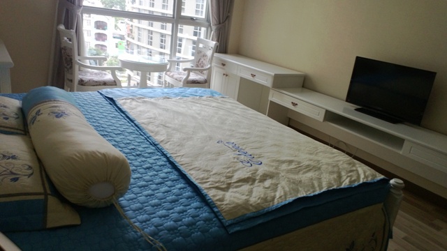 Cho thuê căn hộ chung cư tại dự án Sài Gòn Airport Plaza, Tân Bình, Tp. HCM, dt 57m2, giá 14 tr/th