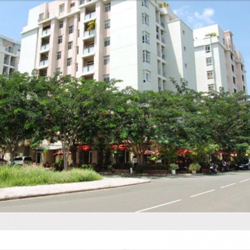 Cho thuê gấp căn hộ Mỹ Viên, DT 118m2- 3PN, Nguyễn Lương Bằng, Phú Mỹ Hưng, Q. 7, TPHCM