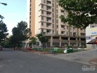 Cho thuê căn hộ chung cư tại dự án căn hộ Bình Khánh, Quận 2. Diện tích 70m2, 2PN sàn gỗ