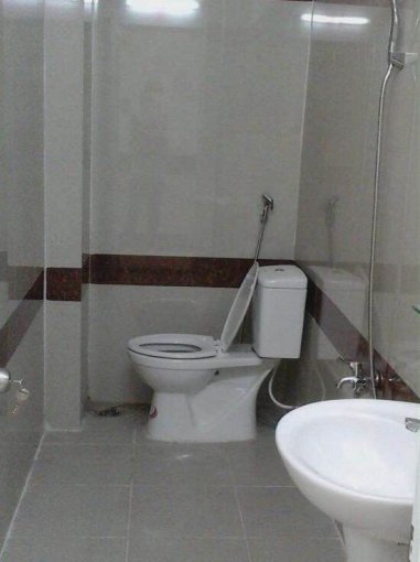 Cho thuê căn hộ chung cư tại Dự án New Saigon-Hoàng Anh Gia Lai 3, Nhà Bè, Tp.HCM diện tích 99m2  giá 11 Triệu/tháng