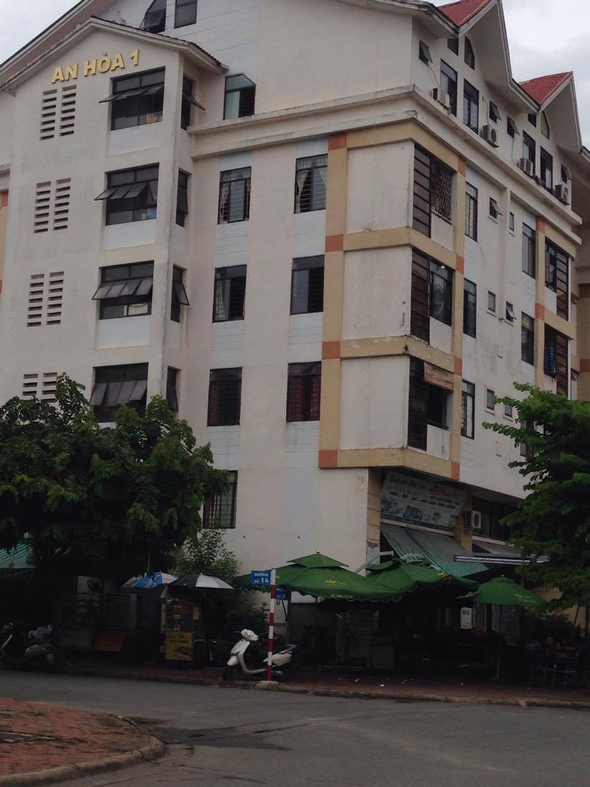 Cho thuê căn hộ CC An Hòa 1 khu Nam Long, phường Tân Thuận Đông, Quận 7, TP. HCM, diện tích 50m2