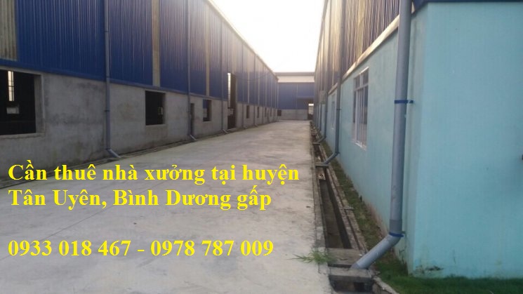 Cần thuê nhà xưởng tại thành phố Thủ Dầu Một, Bình Dương 0933 018 467