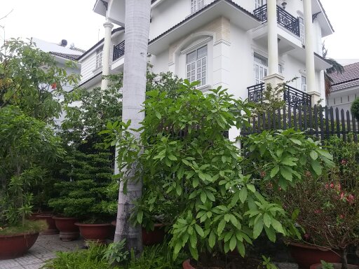 Cho thuê villa Nguyễn Bá Huân, Thảo Điền, Q.2