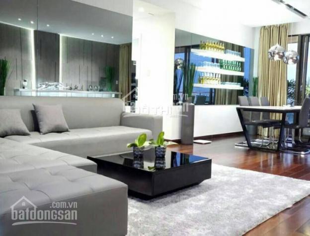 Cho thuê căn hộ Phú Hoàng Anh, diện tích 129m2, nội thất đầy đủ, lầu cao, giá 13 triệu/tháng.