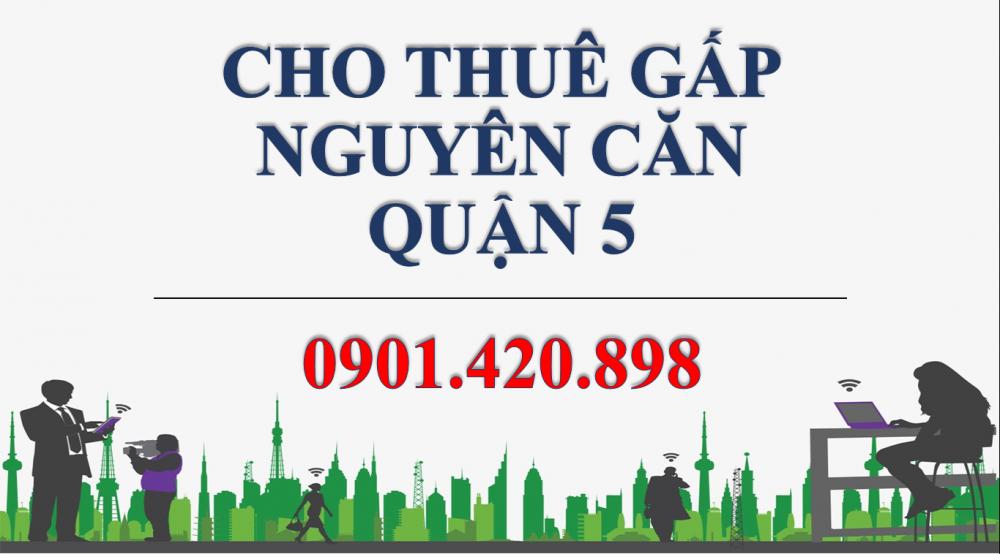 Cho thuê nhà mặt tiền đường Nguyễn Tri Phương, Phường 9, Quận 5