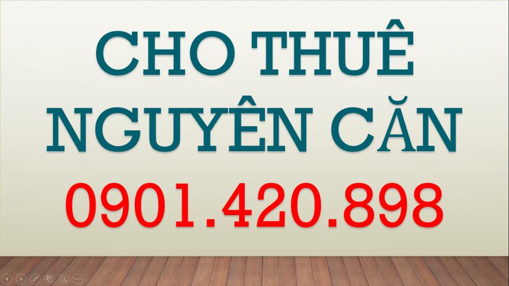 Cho thuê nhà mặt tiền đường Nguyễn Phi Khanh, Phường Tân Định, Quận 1, Hồ Chí Minh