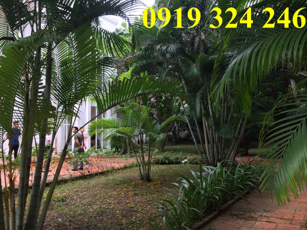 Cho thuê villa Thảo Điền, 1000m2, sân vườn, hồ bơi, giá 94.5 triệu/th