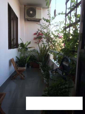 Cho thuê gấp căn hộ chung cư Him Lam Đồng Diều, quận 8