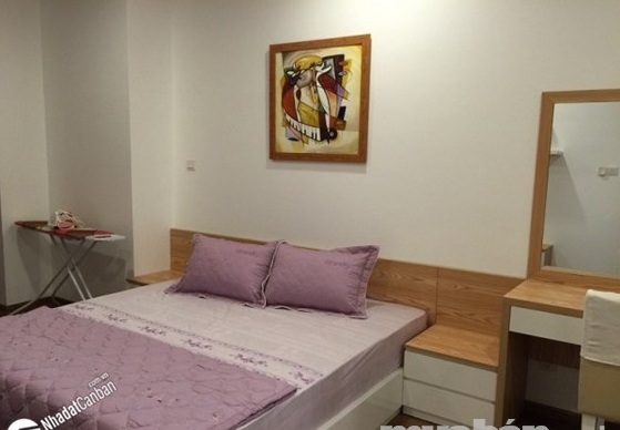 Cho thuê căn hộ 2 PN Him Lam Riverside, Q7, 13.5 tr/th, full nội thất, LH 0909718696
