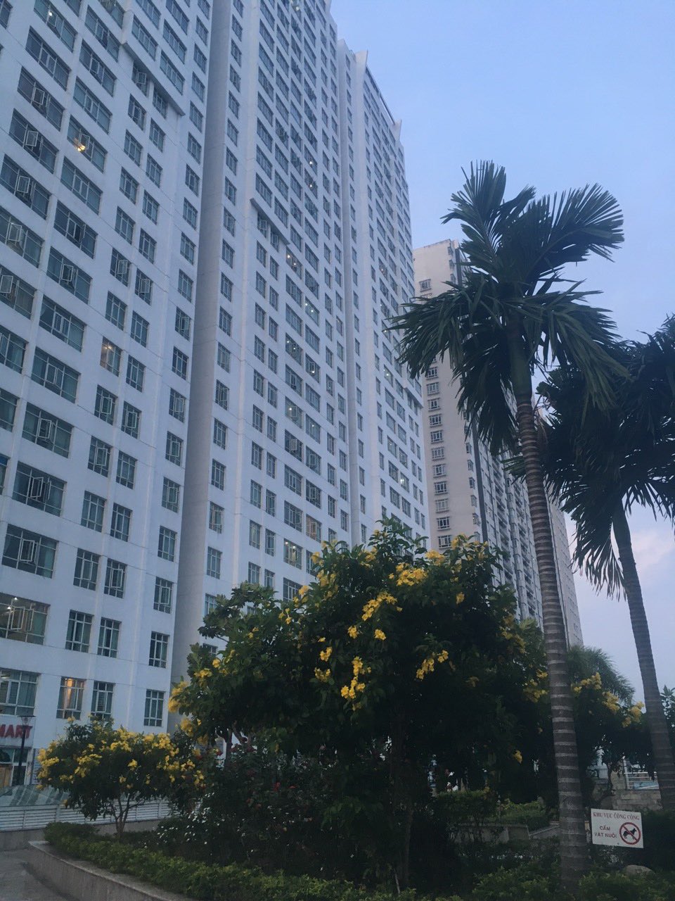 Cho thuê Penthouse căn hộ Hoàng Anh Gia Lai Giai Việt, Q.8, dt 300m2, 5 PN, 40 tr/th. LH 0938095597