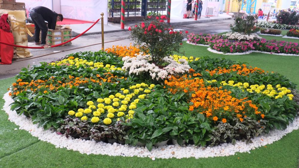 Phòng trọ có công viên, bồn hoa, gác lửng, sạch đẹp đường Tây Thạnh Quận Tân Phú