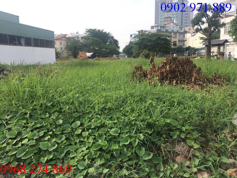Cho thuê đất gấp  tại Đường Thảo Điền, Phường Thảo Điền, Quận 2, Tp.HCM giá 10000$/tháng