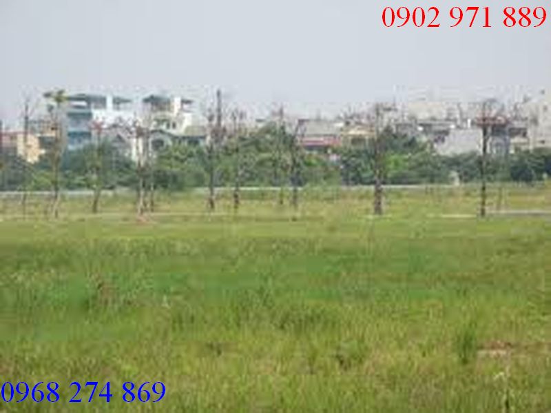 Cho thuê  Đất  đẹp giá rẻ tại ĐườngXLHN, P . Thảo Điền , Quận 2  giá 10000$/ tháng 