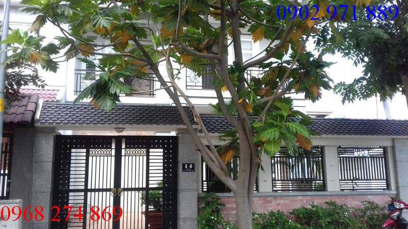 Cho thuê gấp villa đẹp ở đường 2, P. Thảo Điền, Quận 2. Giá 31.5 triệu/tháng