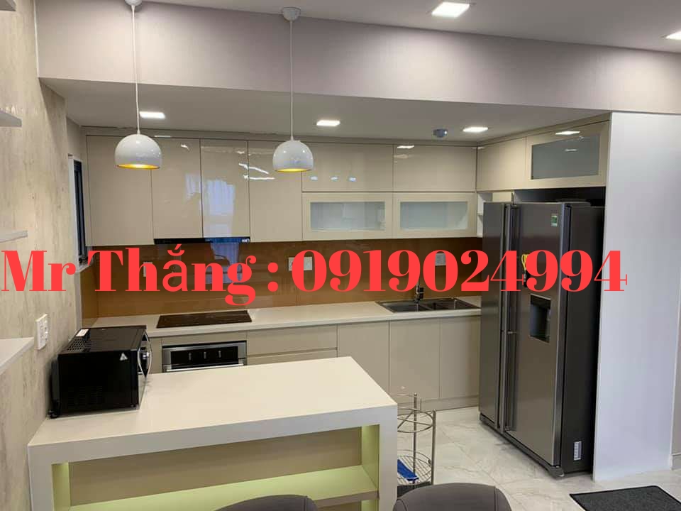 Cần cho thuê  căn hộ cao cấp Phú mỹ Hưng Quận 7 giá cực tốt nhà mới bao đẹp. 0919024994.