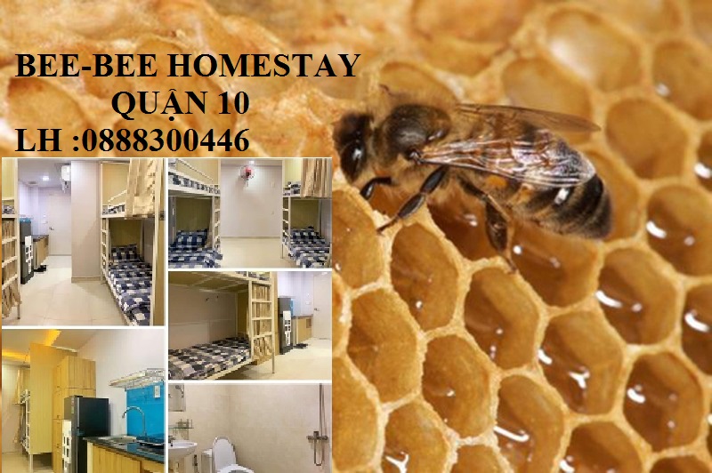 Bee.Bee Homestay  Quận 10 Dear các em Tân Sinh Viên ✍ Năm học mới 
