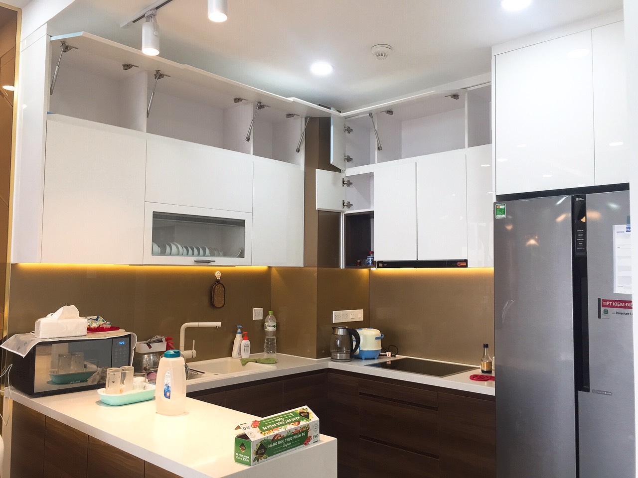 Cho thuê căn hộ 2Phòng Ngủ Tại Saigon South Residence Phú Mỹ Hưng