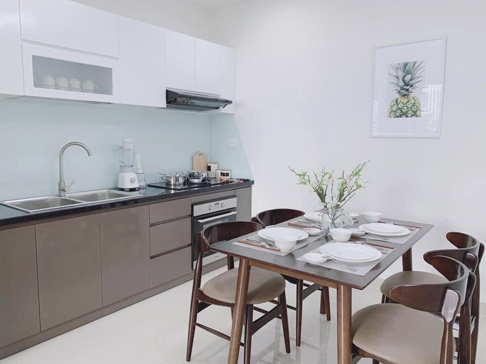 Cho thuê căn hộ cao cấp Nam Sài Gòn – Sài Gòn South Residences, Nhà Mới 100%