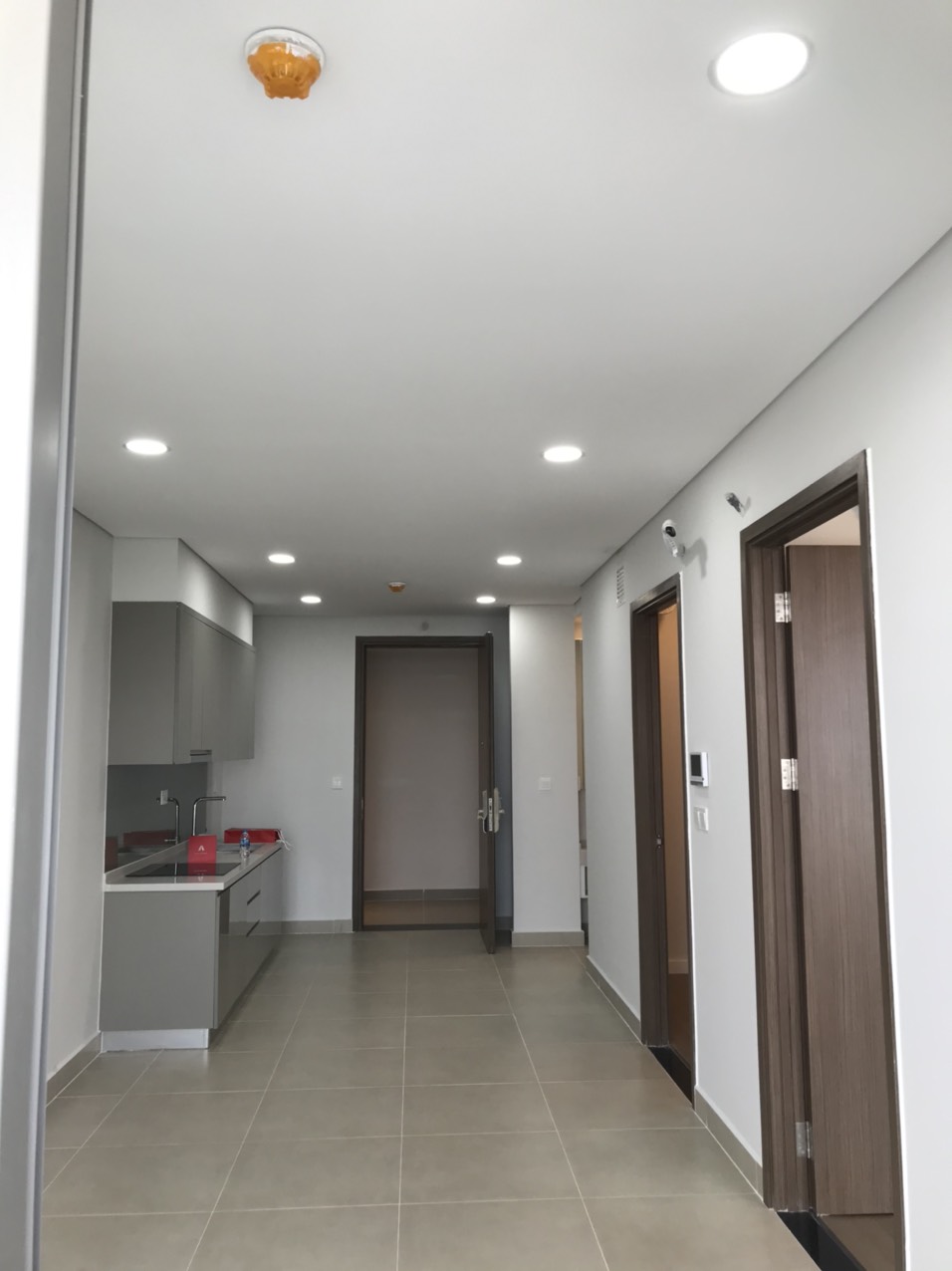 Cho thuê căn hộ chung cư tại Dự án River Panorama, Quận 7, Tp.HCM diện tích 57m2  giá 9 Triệu/tháng