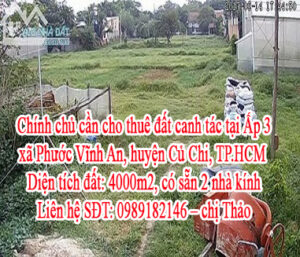 Chính chủ cần cho thuê đất canh tác tại địa chỉ: Ấp 3, xã Phước Vĩnh An, huyện Củ Chi, TP.HCM.