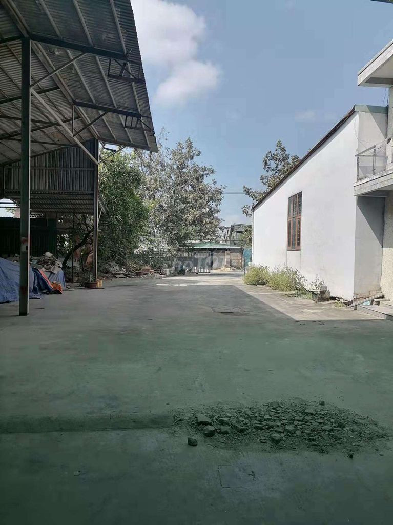 Cần cho thuê nhà ở C15/8 đường Huỳnh Bá Chánh ,Ấp 3 ,Xã Tân Kiên ,huyện Bình Chánh ,tp.HCM