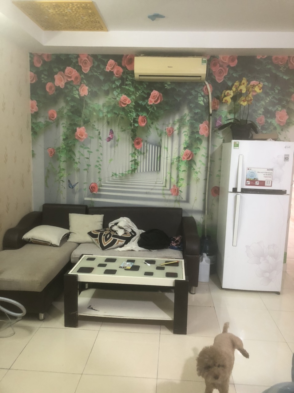 Cho thuê căn hộ Khang Gia - Tân Hương, dt 50m2, giá 7tr1, nhà có nội thất đầy đủ