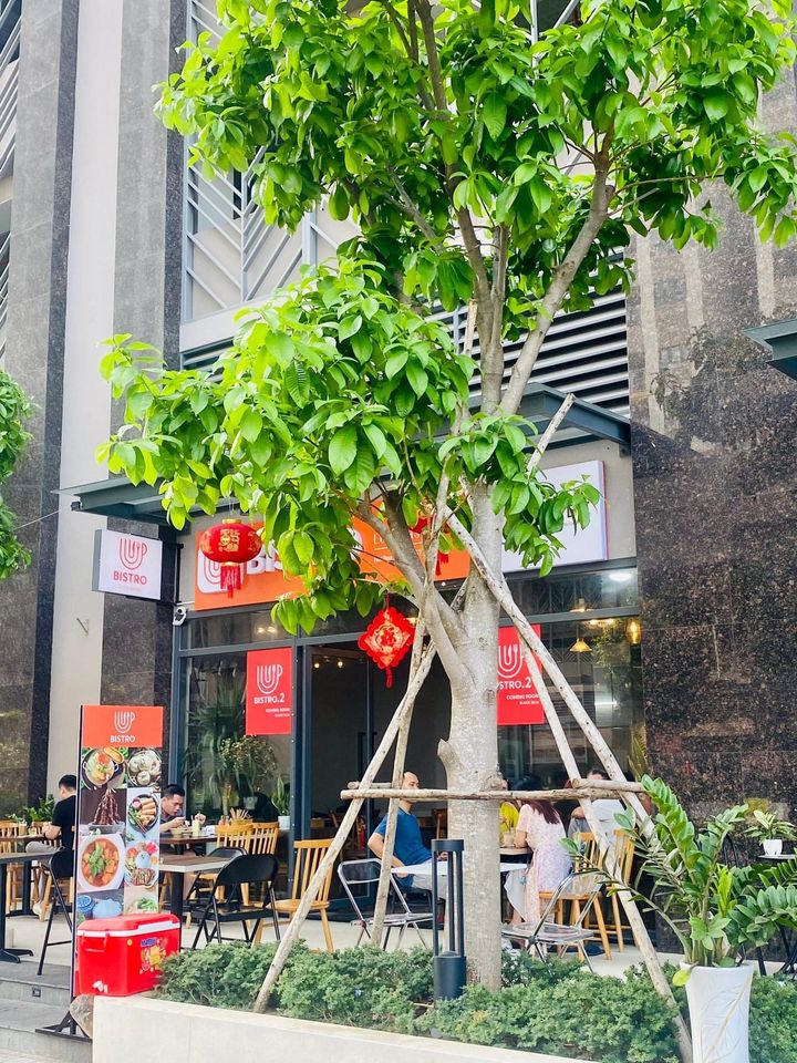 Cho thuê Shophouse Q7 Riverside 70m2 chỉ 25 triệu