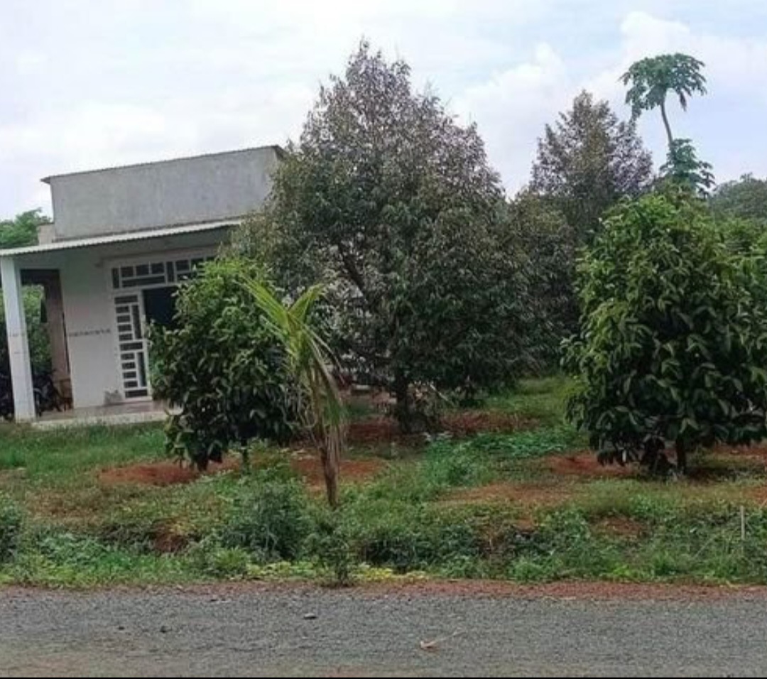 Cần sang nhượng miếng đất 1000m2 sổ sẵn 230 triệu.