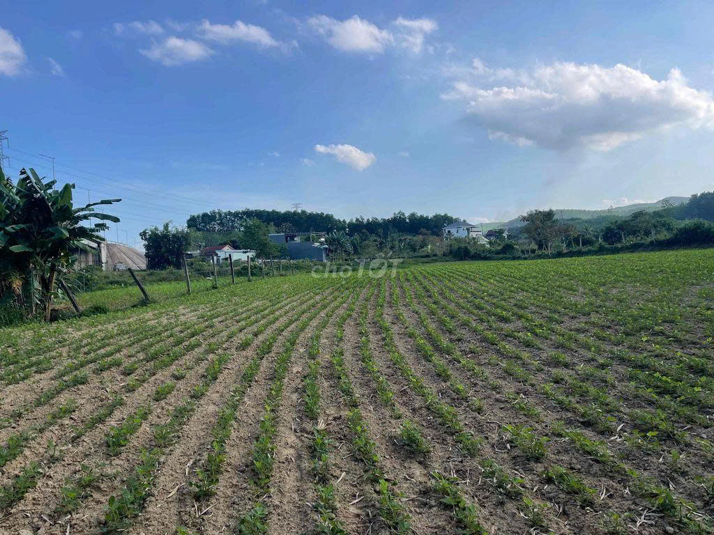 Đất làm vườn nghĩ dưỡng view sông sát đường đi Núi Thần Tài 3800m2 chỉ 5.3 tỷ. Lh:0913913077.