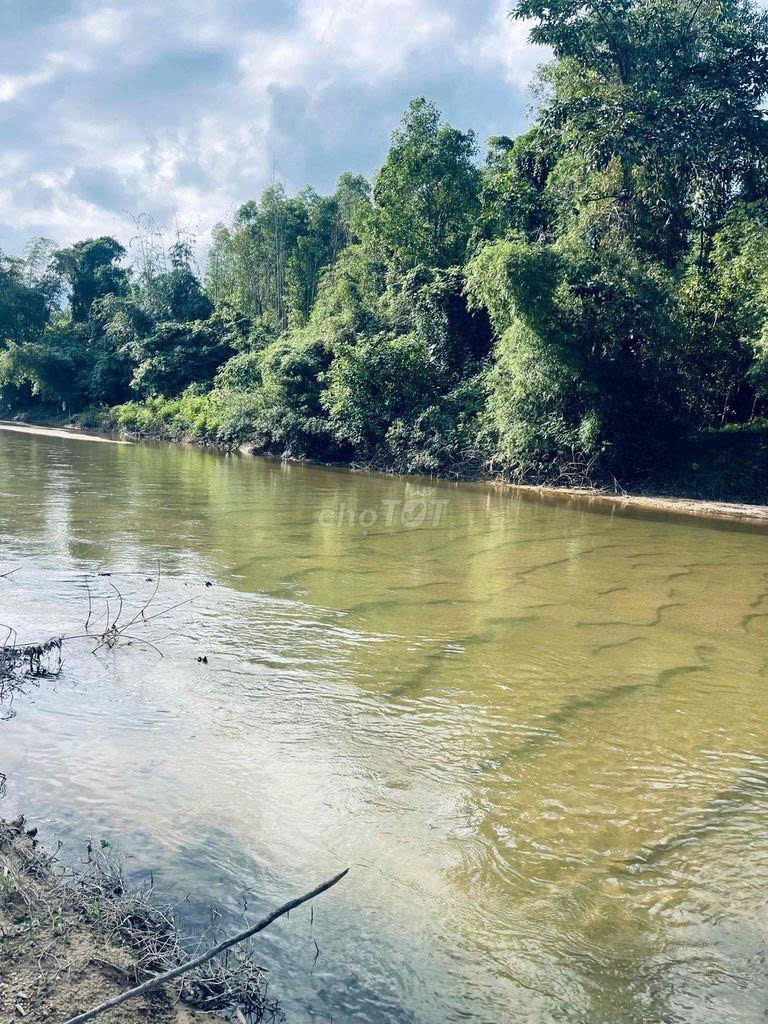 Đất làm vườn nghĩ dưỡng view sông sát đường đi Núi Thần Tài 3800m2 chỉ 5.3 tỷ. Lh:0913913077.