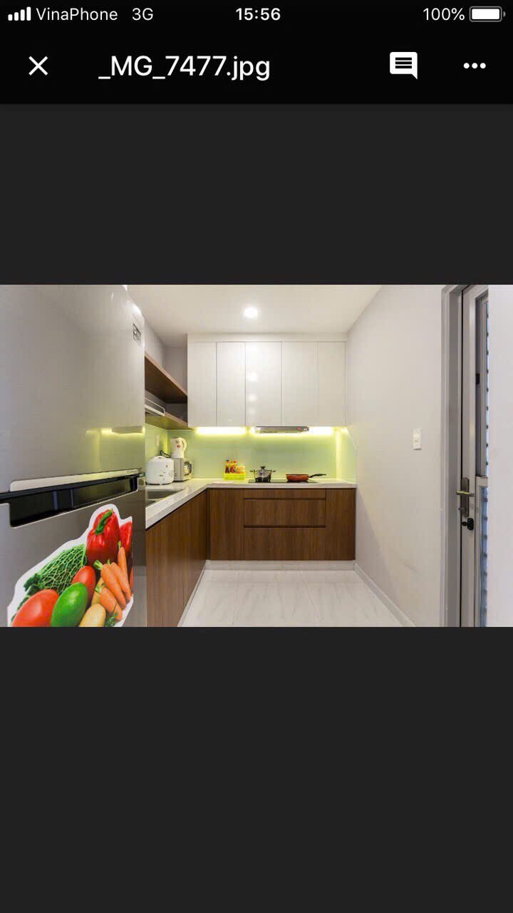 Cho thuê căn hộ Scenic valley 1, PMH, Q7, 2 PN nhà đẹp, giá chỉ 19 triệu 