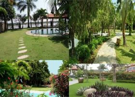 Cho thuê CH Tropic Garden, Thảo Điền, Q.2, (2 và 3 PN) nhà đẹp, giá chỉ từ 16 - 23 triệu 364007