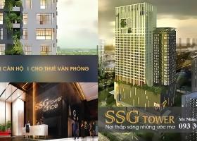 Cho thuê căn hộ PEARL PLAZA (SSG Tower) Điện Biên Phủ, Bình Thạnh,0933030128 (SSG Group) 372228