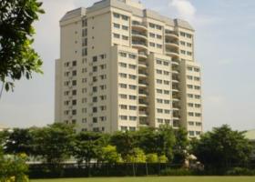 Cho thuê căn hộ chung cư tại Dự án Parkland Apartments, Quận 2, Tp.HCM diện tích 50m2  giá 10.5 Triệu/tháng 428216