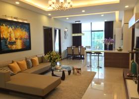 Cho thuê căn hộ An Khang quận 2, 3 phòng ngủ đẹp và tiện nghi giá chỉ 13 triệu/tháng 693260