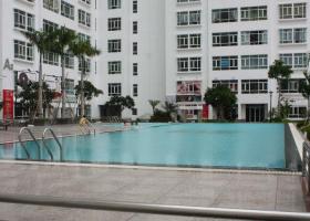 Giá rẻ nhất chung cư căn hộ Phú Hoàng Anh cho thuê, 2PN, lầu cao, view đẹp, giá 9 triệu/tháng 696028