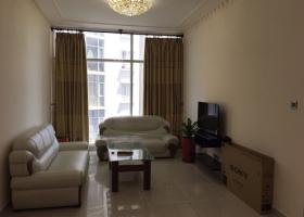 Cho thuê căn hộ Phú Mỹ 2PN, giá 550 USD, 80m2, full nội thất. 698495