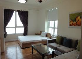 Cho thuê căn hộ The Manor 91 Nguyễn Hữu Cảnh, 1 phòng ngủ, 33m2, tầng 12 703304