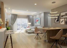 Cho thuê căn hộ An Khang, Quận 2, 2 phòng ngủ rất đẹp_lầu cao, giá thấp 13,5 triệu/tháng 735394