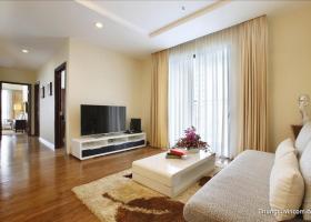 Cần cho thuê căn hộ Phú Hoàng Anh 2PN, 3PN, 4PN giá rẻ rất hiện nay 765761