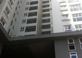 Cho Thuê chung cư tại The Gaden - Tân kì Tân Quý. Diện tích: 65m2 gồm 2 phòng ngủ, 2wc, 8tr/tháng 0902855182 803209