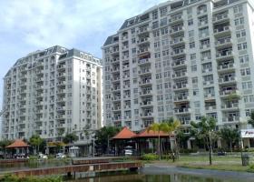 Cho thuê gấp căn hộ Cảnh Viên 1. DT 120m2, 3 phòng ngủ, đường số 17, Phú Mỹ Hưng, P. Tân Phú, Q7 1303120