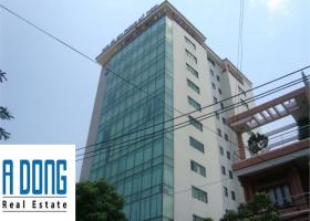 Văn phòng đẹp, giá tốt đường Lê Quang Định - DT 50m2 giá 12 tr/th (gồm VAT+phí DV)- LH 01263219886 890681