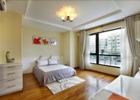 Cho thuê căn hộ cao cấp Tân Phước Plaza Quận 11. Hotline 0905.902.092 979950